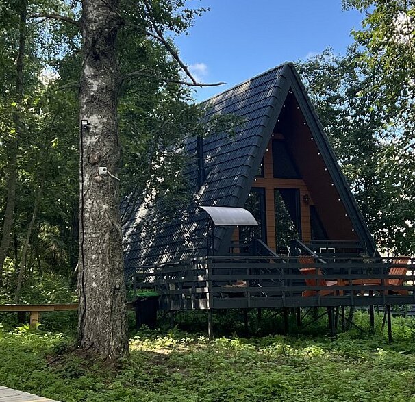 Дома в аренду Избушки на опушке, Ленинградская область: фото 3