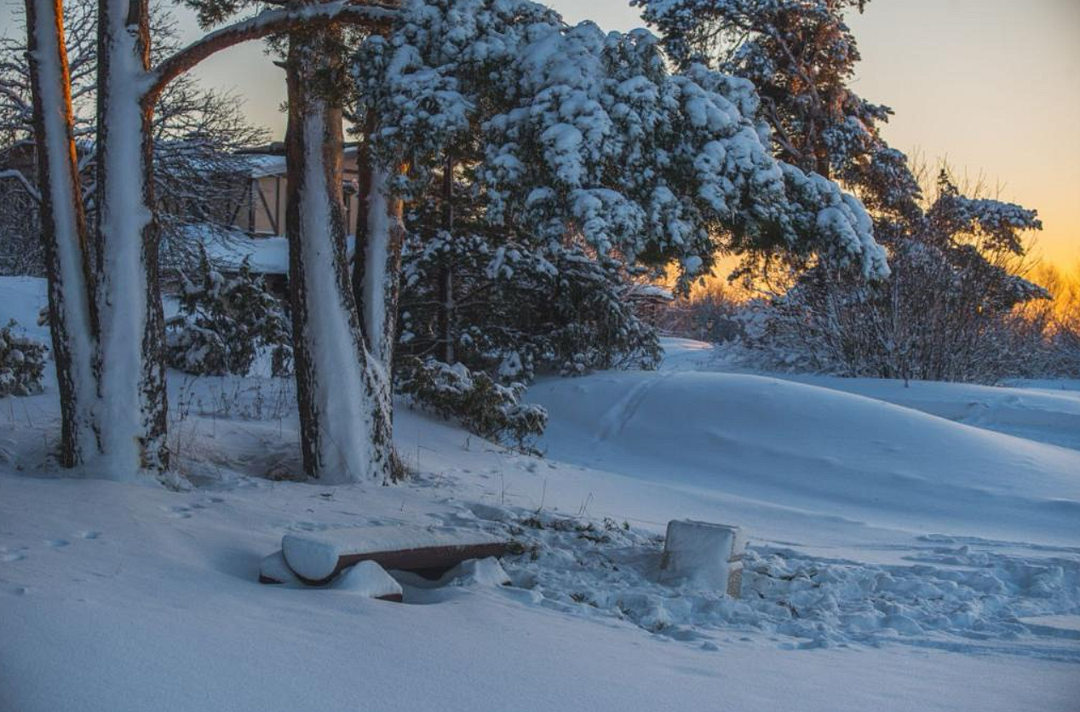 Заостровье, Ленинградская область: фото 3