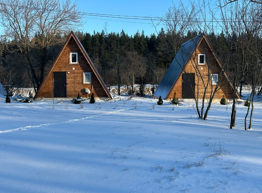 Река и Лес, Самарская область: фото 2