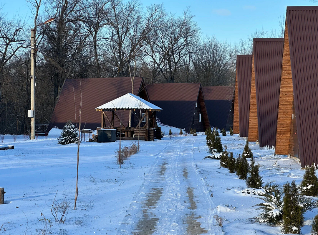 Река и Лес, Самарская область: фото 5