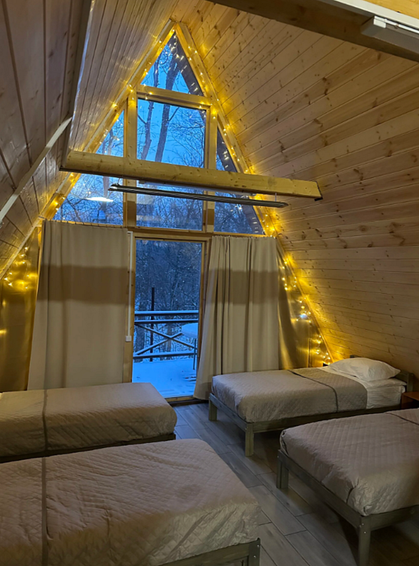 Река и Лес, Самарская область: фото 3