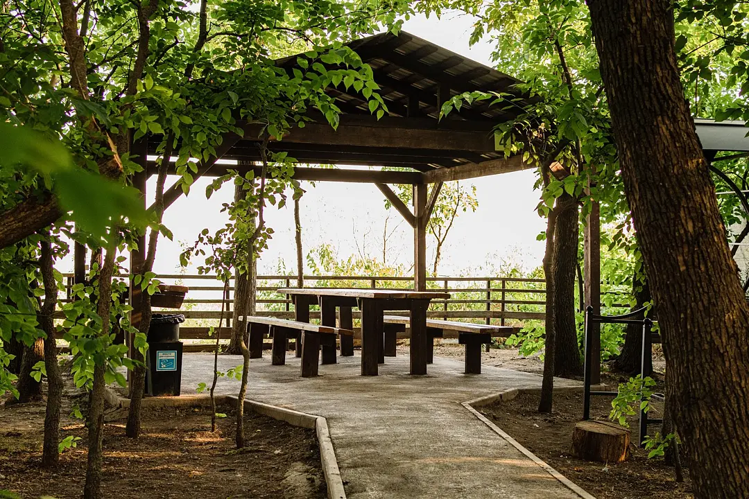 Панорама, Ростовская область: фото 5