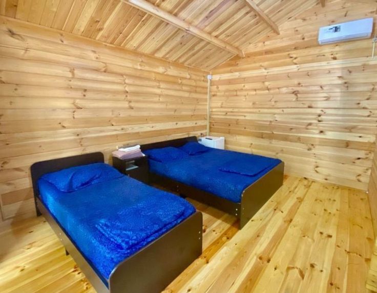 Александрия, Гагрский район: фото 5