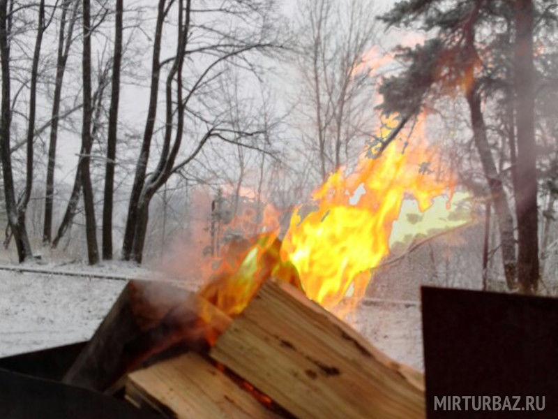 Сосновый бор, Республика Башкортостан: фото 5