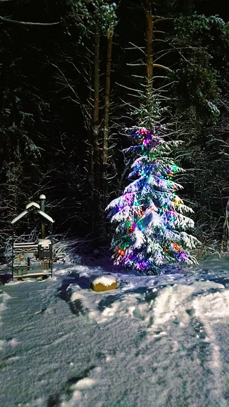 Морошка, Республика Карелия: фото 4