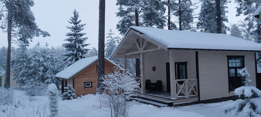 Фото из отзыва от 31.12.2025