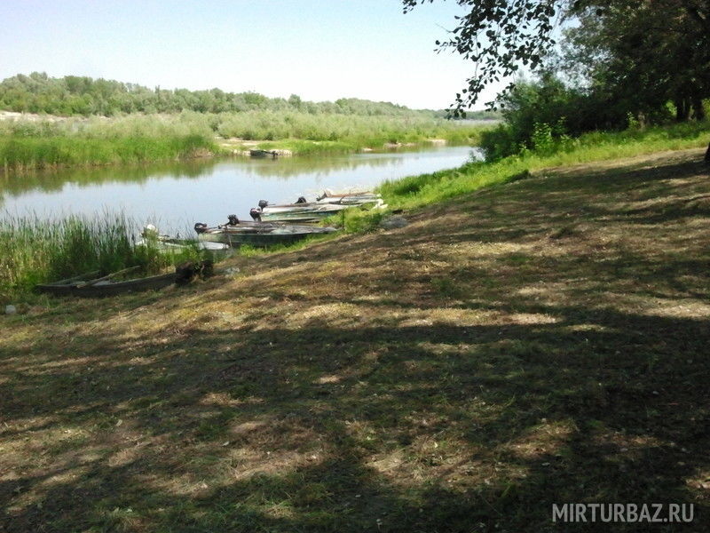 Дары Дона, Волгоградская область: фото 2