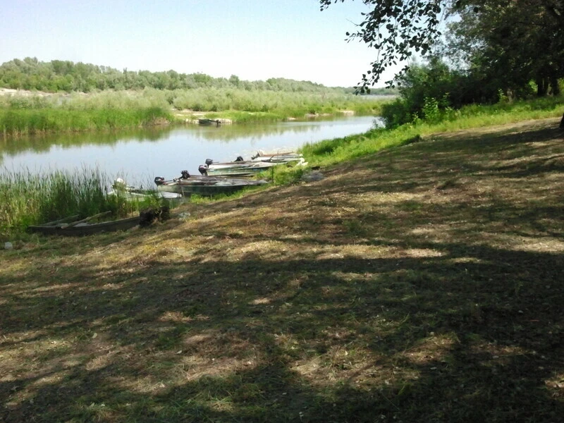 Дары Дона, Волгоградская область: фото 2