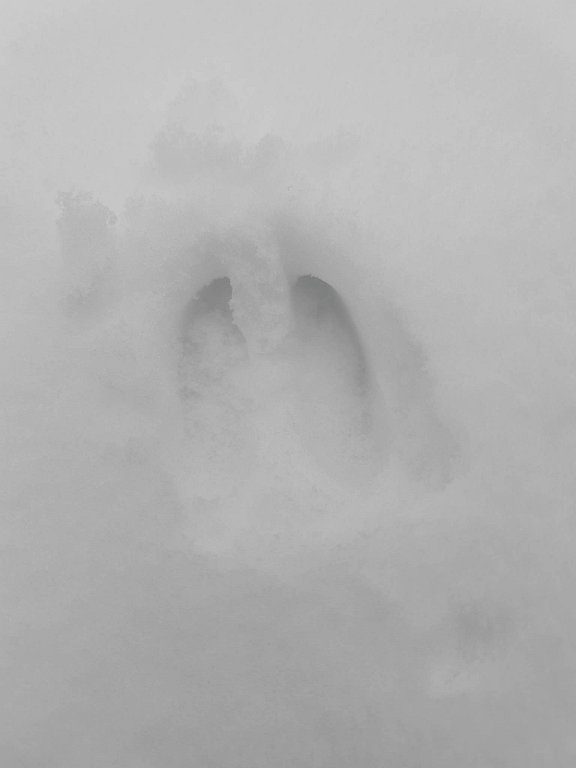 Фото из отзыва от 02.01.2026