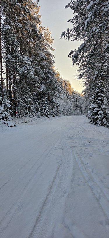 Фото 2 из отзыва о базе отдыха Арсенал