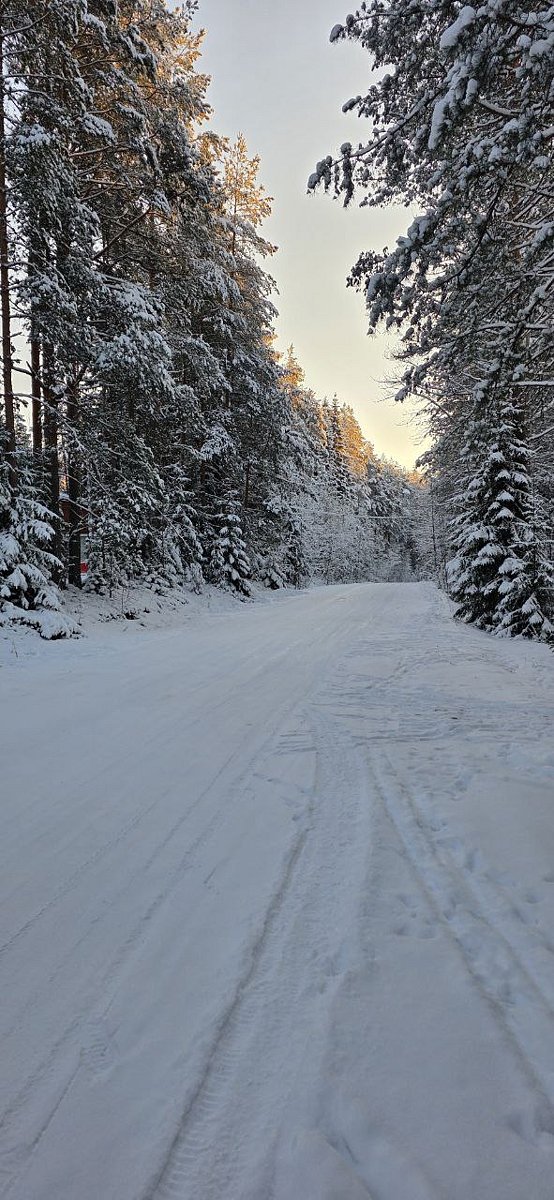 Фото 2 из отзыва о базе отдыха Арсенал