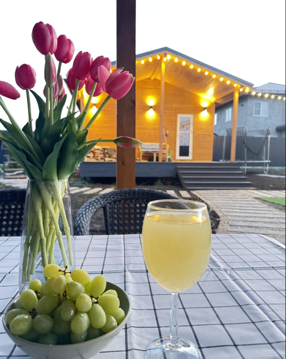 Аренда дома в Княжем, Челябинская область: фото 3