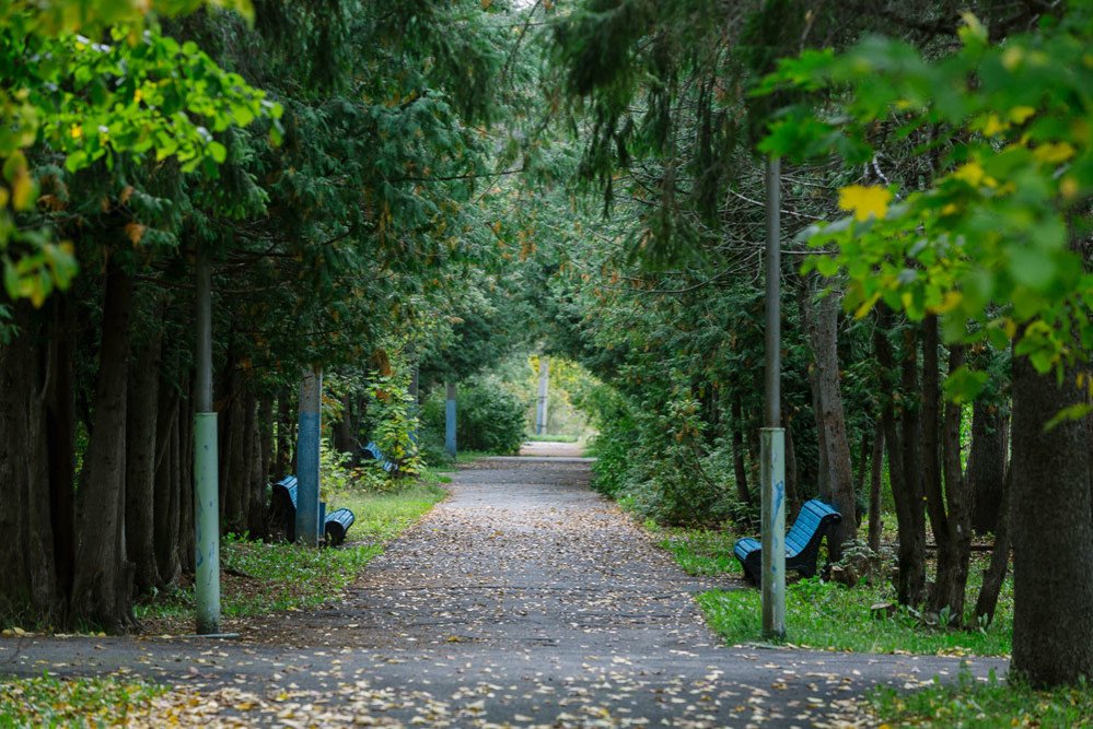 Прибрежный, Ульяновская область: фото 5
