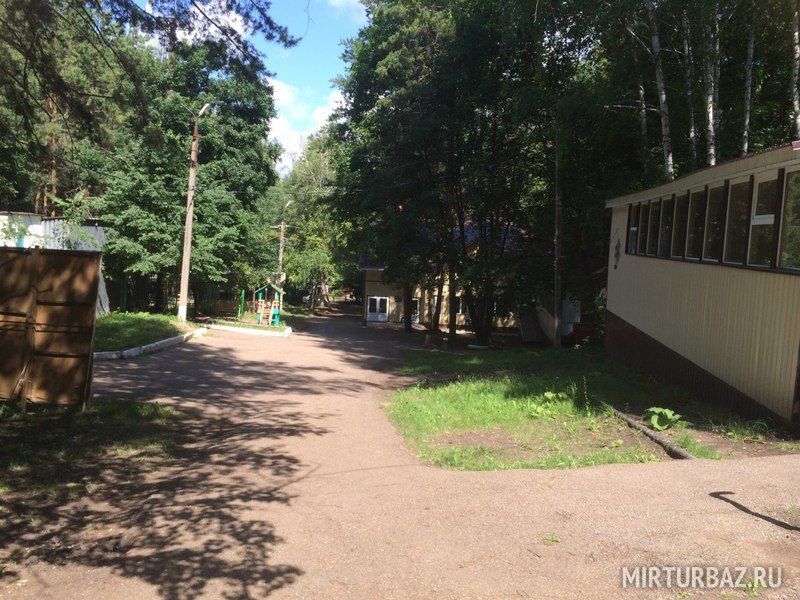 Ромашка, Республика Башкортостан: фото 4