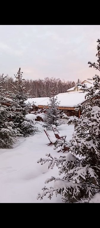 Фото из отзыва от 31.12.2025