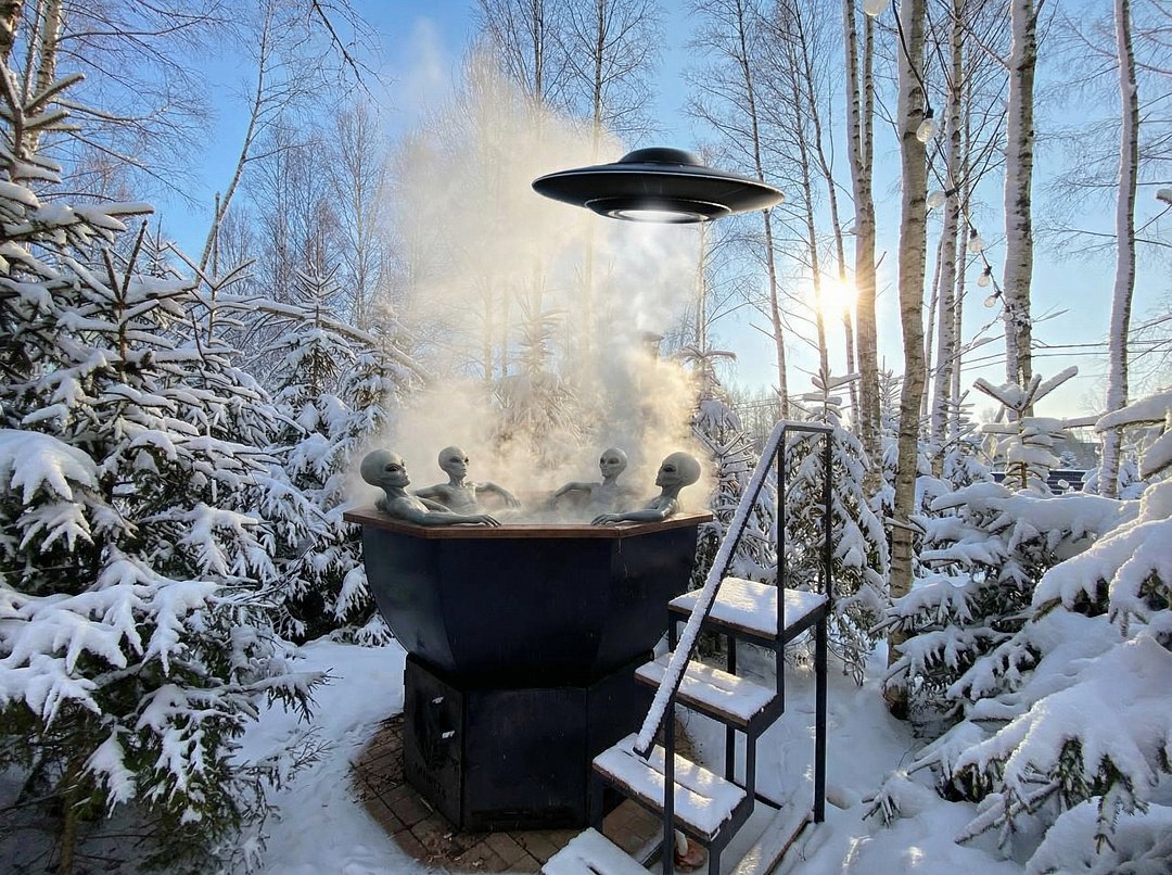 Загородный дом ЕлкиШале с баней и чаном у леса, Клинский район, Московская область