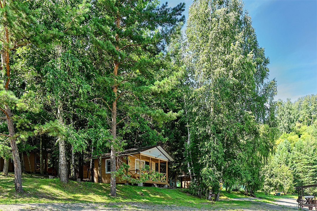 Лесовичок, Алтайский край: фото 2