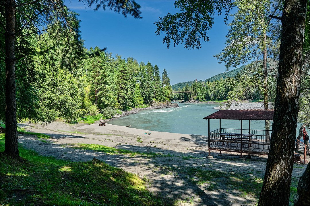 Лесовичок, Алтайский край: фото 5