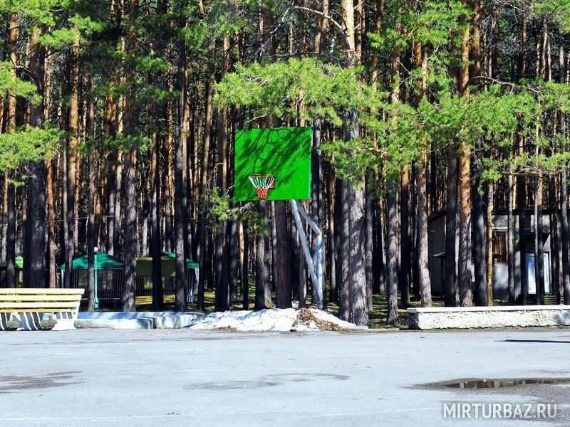 Каштакский бор, Челябинская область: фото 5