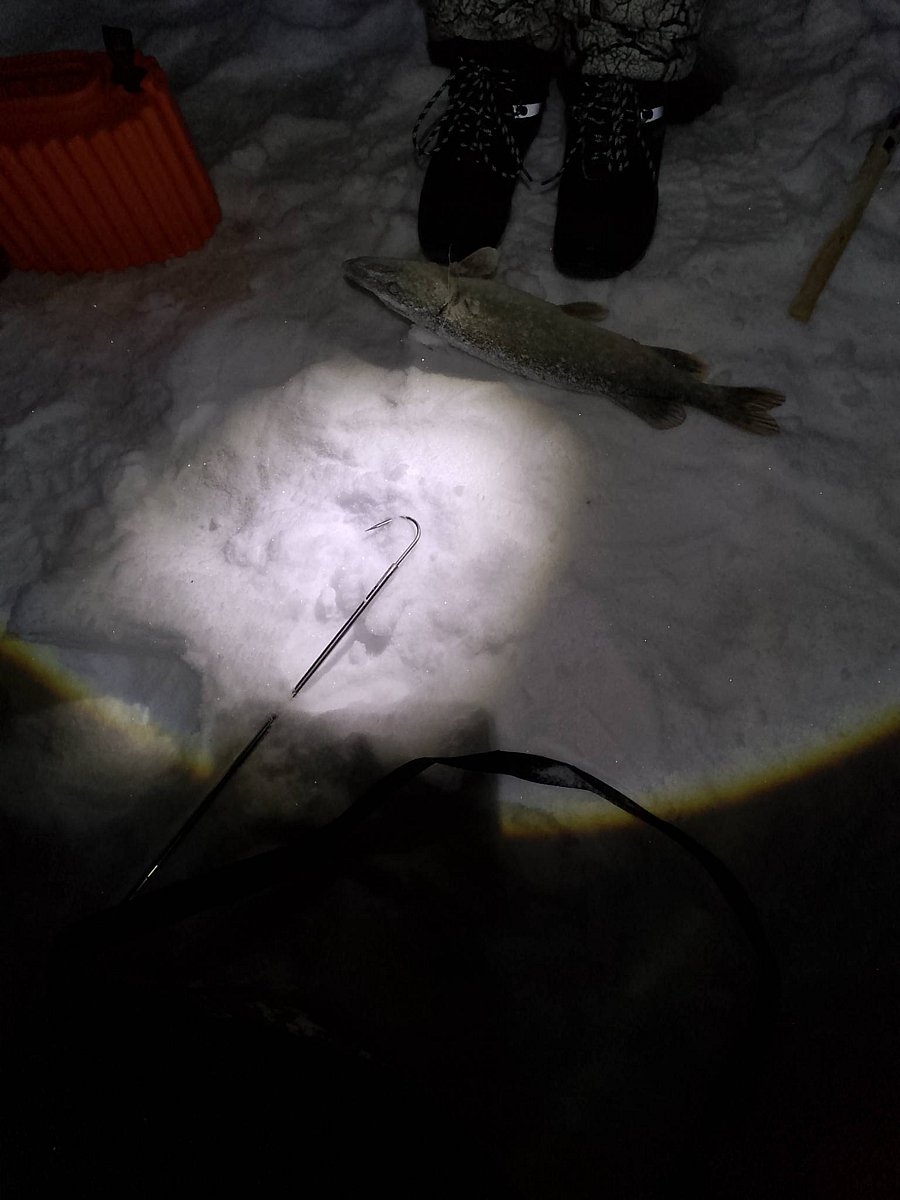 Фото 1 из отзыва о доме в аренду Колпино