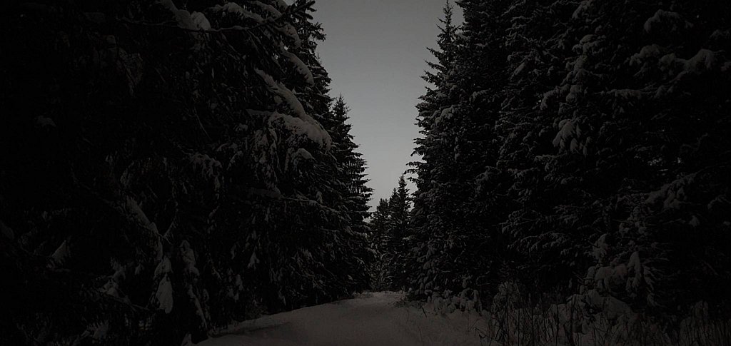 Фото из отзыва от 11.01.2026