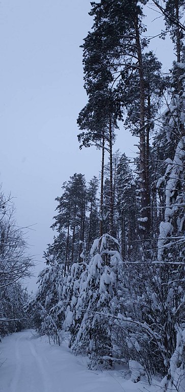 Фото из отзыва от 11.01.2026