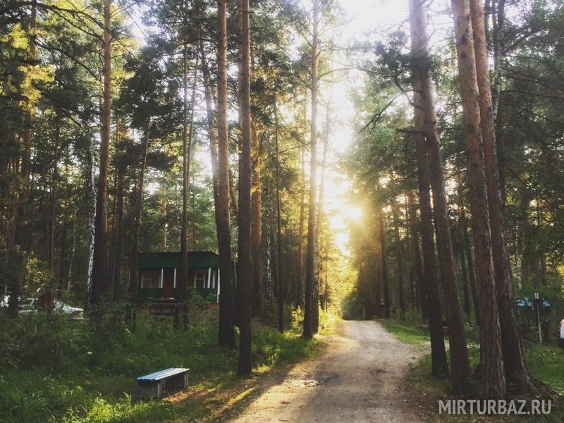 Рассвет, Челябинская область: фото 4