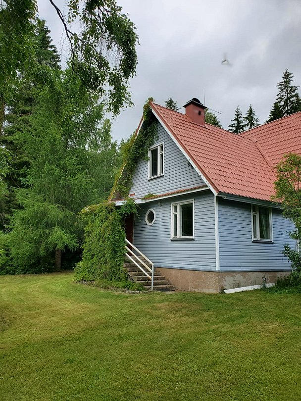 Ёкикюля, Ленинградская область: фото 4