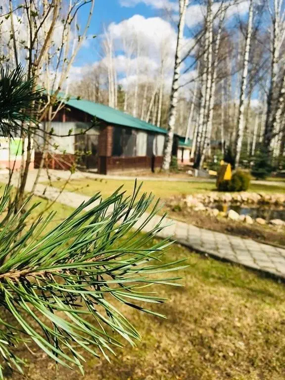 База отдыха Туристская база На Ватоме, Нижегородская область: фото 3