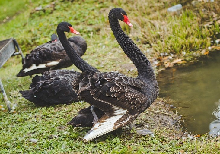 База отдыха Кипячий Ключ, Нижегородская область: фото 4