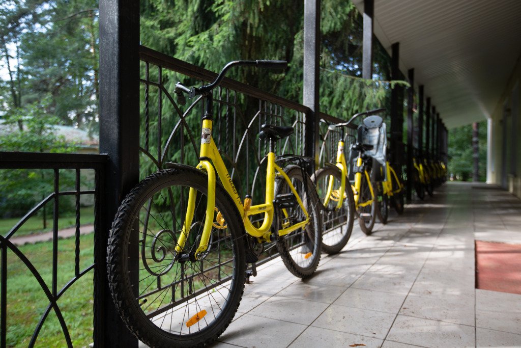 База отдыха Добрый Лось, Ленинградская область: фото 2