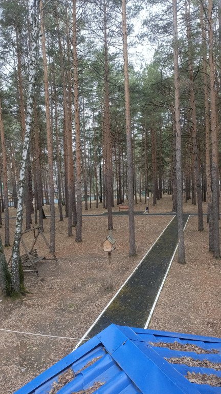 База отдыха ЦО Дружба-Ямал, Тюменская область: фото 5