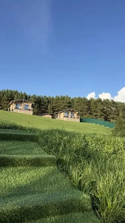 База отдыха BorWood, Новосибирская область: фото 2