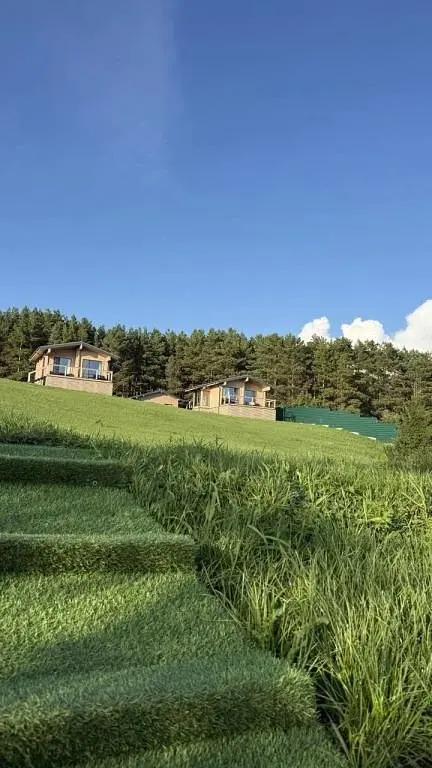 База отдыха BorWood, Новосибирская область: фото 2