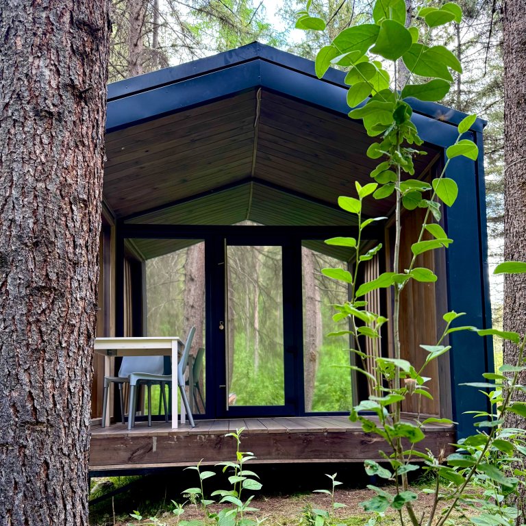 База отдыха Зелёный колобок, Горный Алтай (Республика Алтай): фото 5