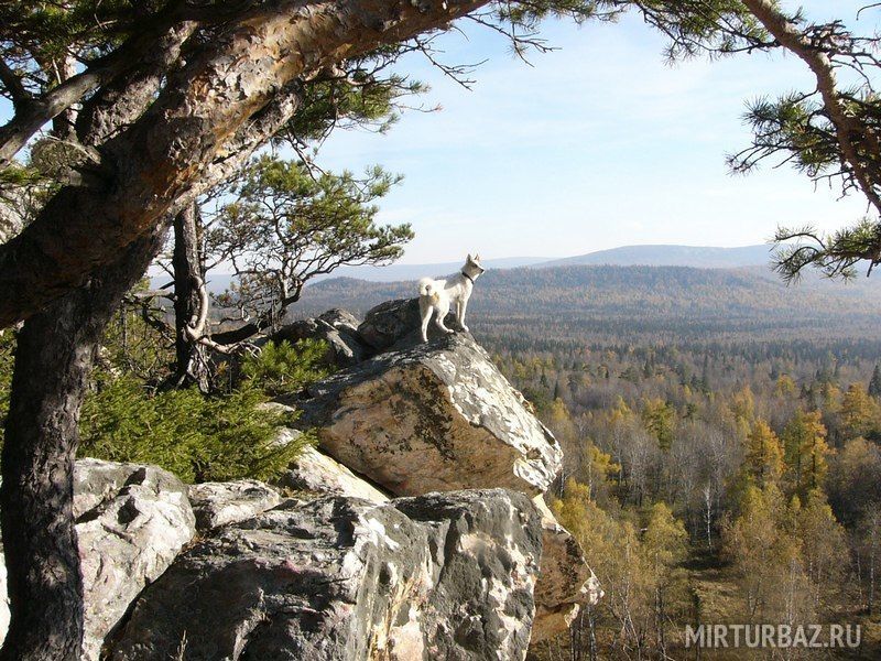 Лесное озеро, Республика Башкортостан: фото 4