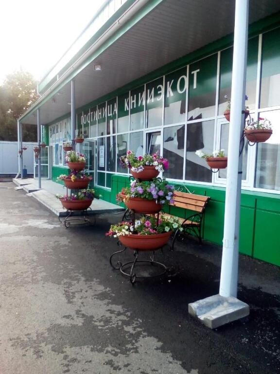 Отель Книиэкот, Курганская область, Курган 