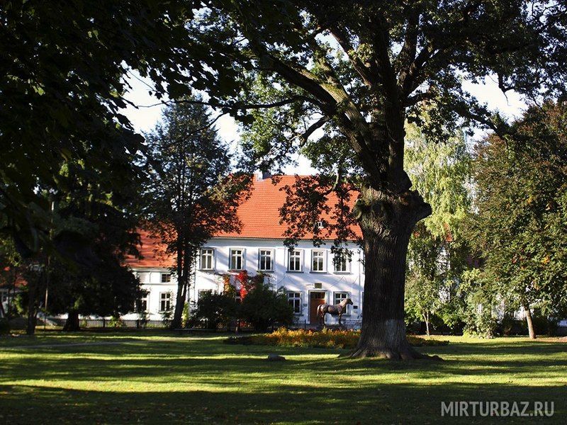 Старая аптека, Калининградская область: фото 5