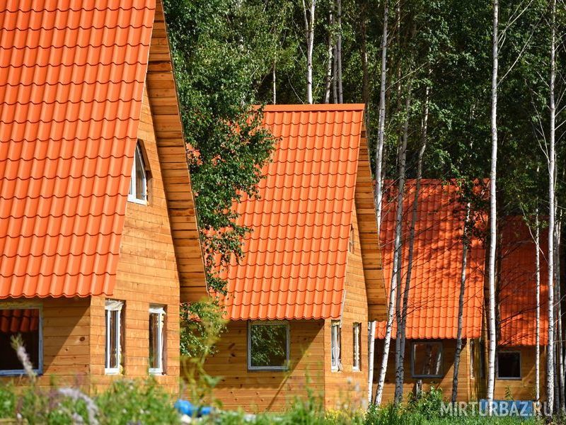 Берег, Челябинская область: фото 5