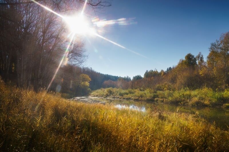 Республика Гайдар, Алтайский край: фото 4