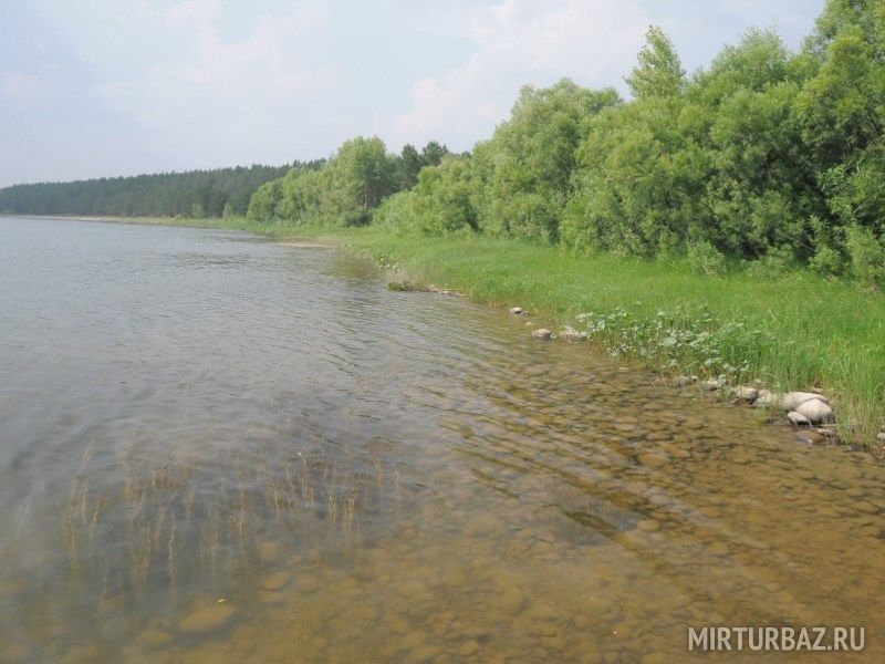 Лесная благодать, Алтайский край: фото 5