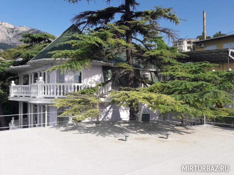 Рио, Крым: фото 4