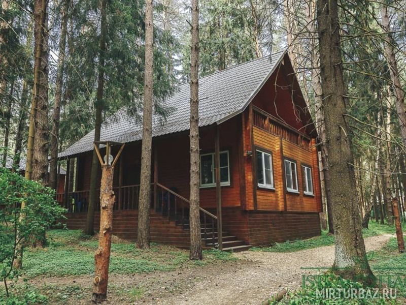 Istra Cottage, Московская область: фото 2