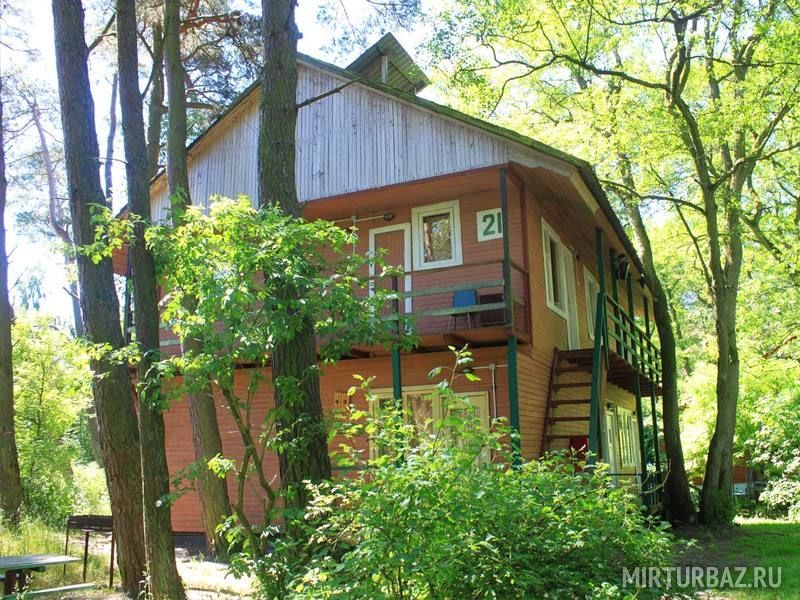 Дюны, Калининградская область: фото 2