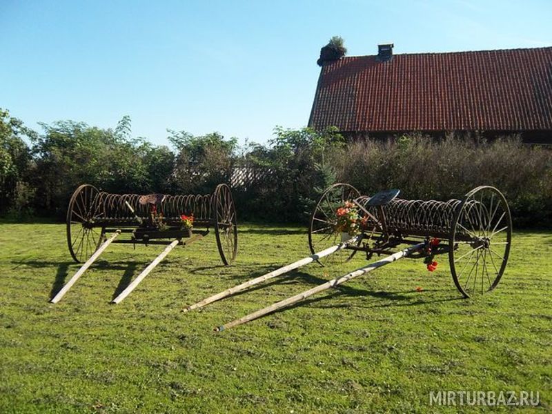 Козий Двор, Калининградская область: фото 2