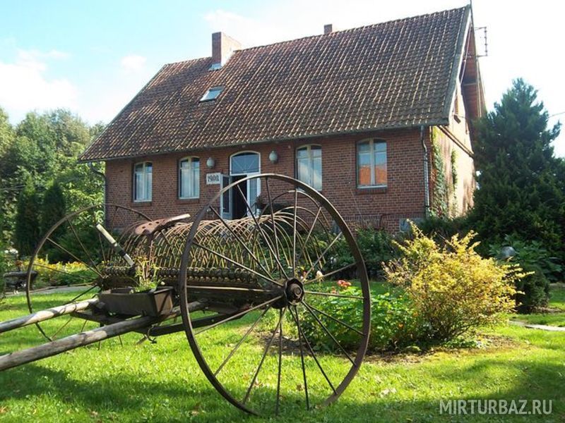 Козий Двор, Калининградская область: фото 3