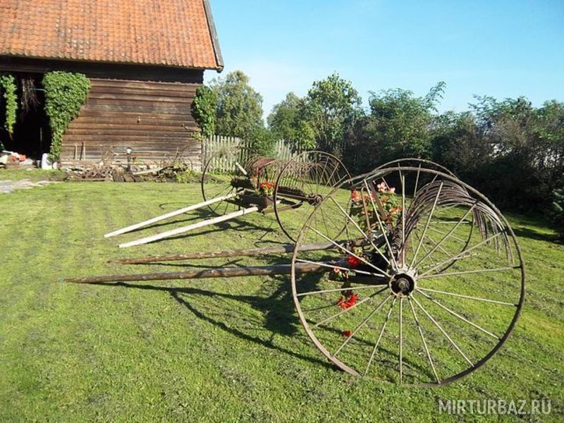 Козий Двор, Калининградская область: фото 4