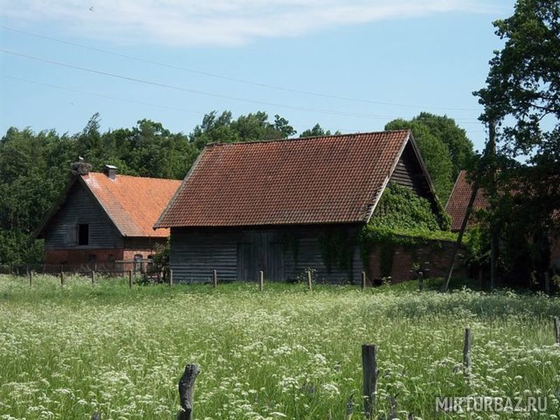 Козий Двор, Калининградская область: фото 5
