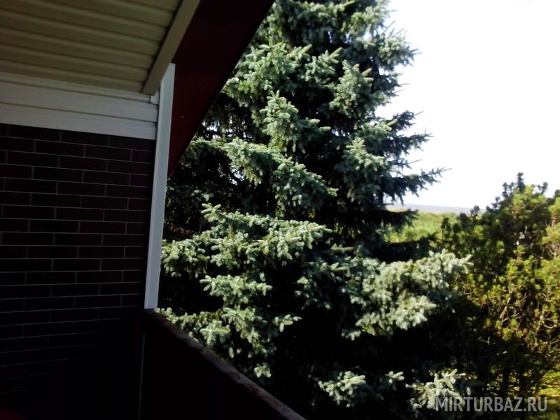 Красная мельница, Калининградская область: фото 5