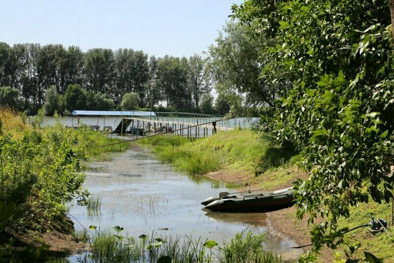 Дельта Трофи, Астраханская область: фото 4